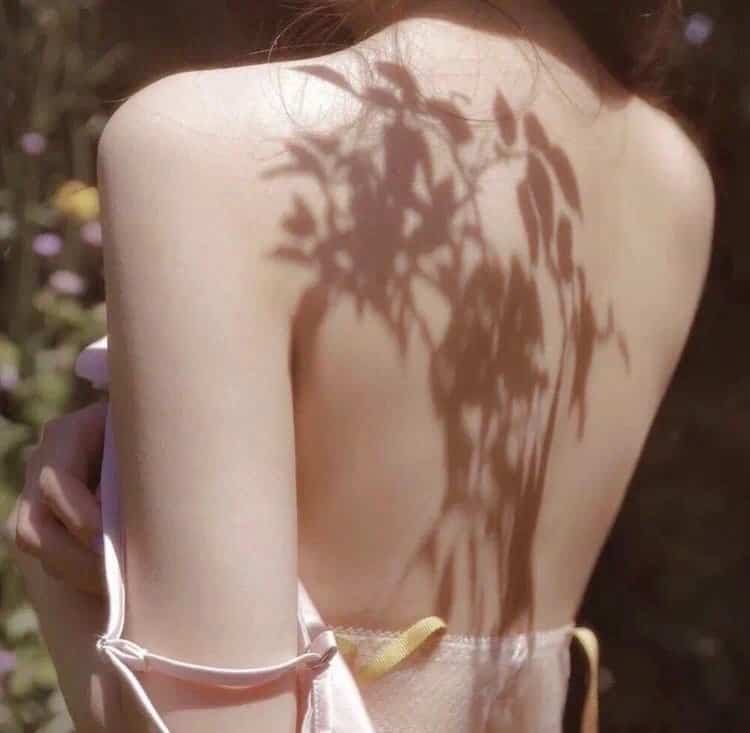 仙侠传说:修仙之路的逆天改命