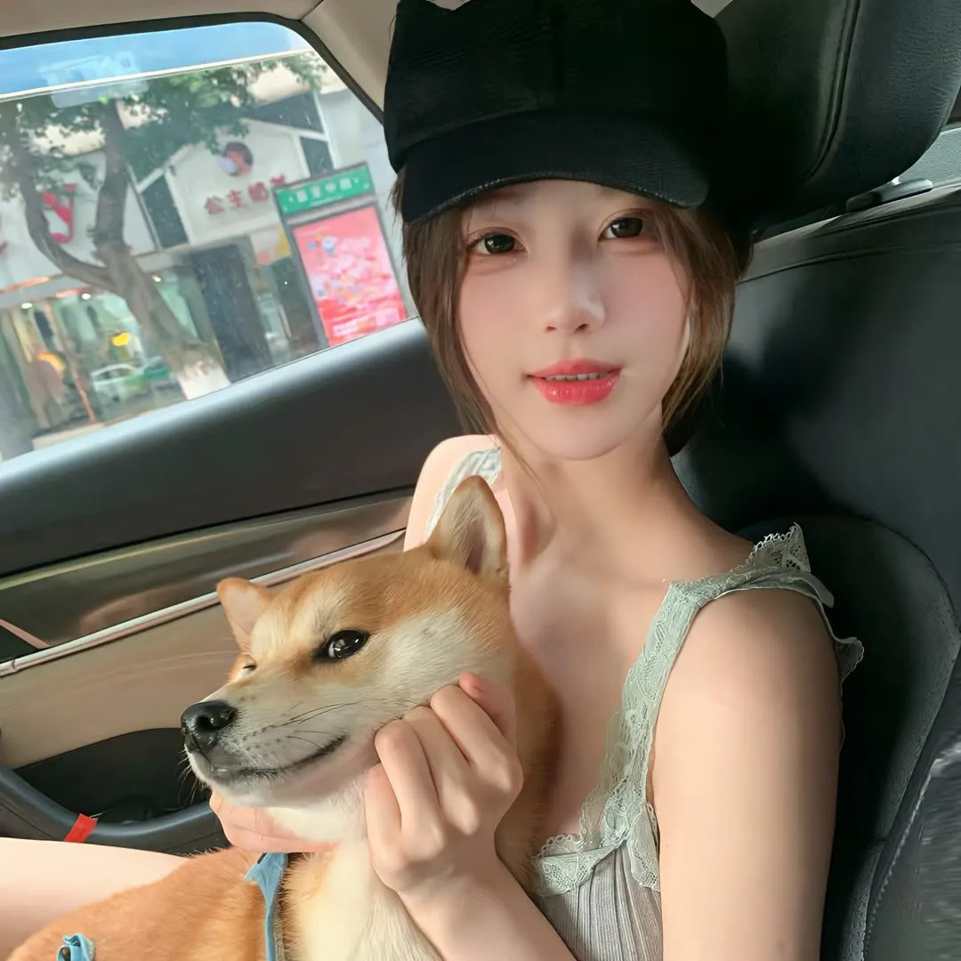 追爱谎言